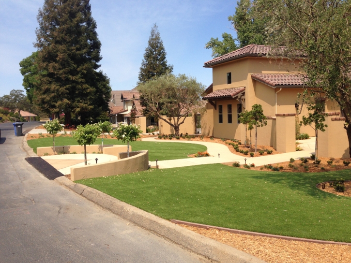 Plastic Grass Ceres, California Gardeners, Landscaping Ideas For Front Yard