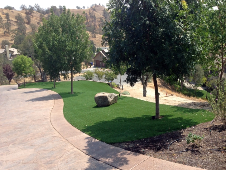 Plastic Grass Crows Landing, California Rooftop, Landscaping Ideas For Front Yard