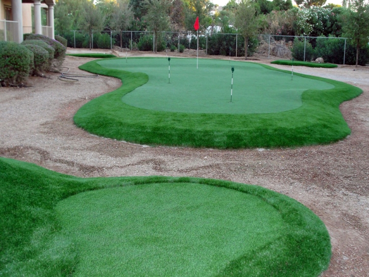 Plastic Grass Delft Colony, California Indoor Putting Green, Backyard Landscape Ideas