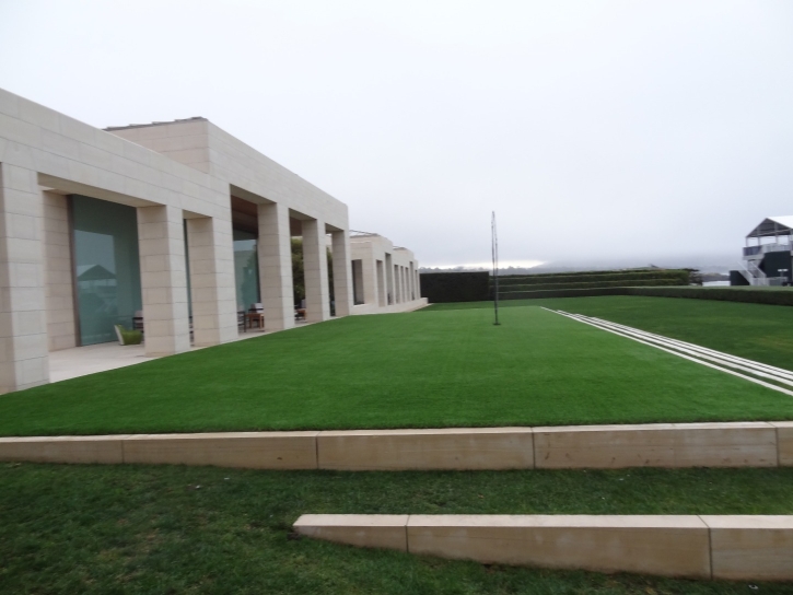 Plastic Grass Friant, California Home And Garden, Commercial Landscape