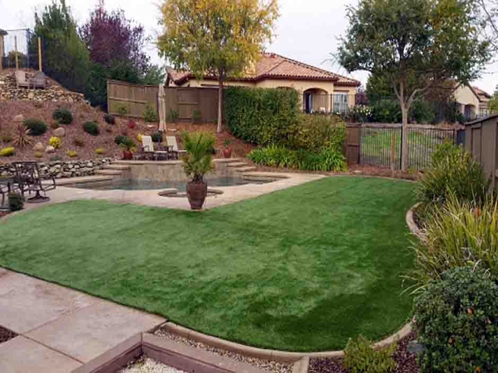 Plastic Grass Lockwood, California Landscape Photos, Backyard Design