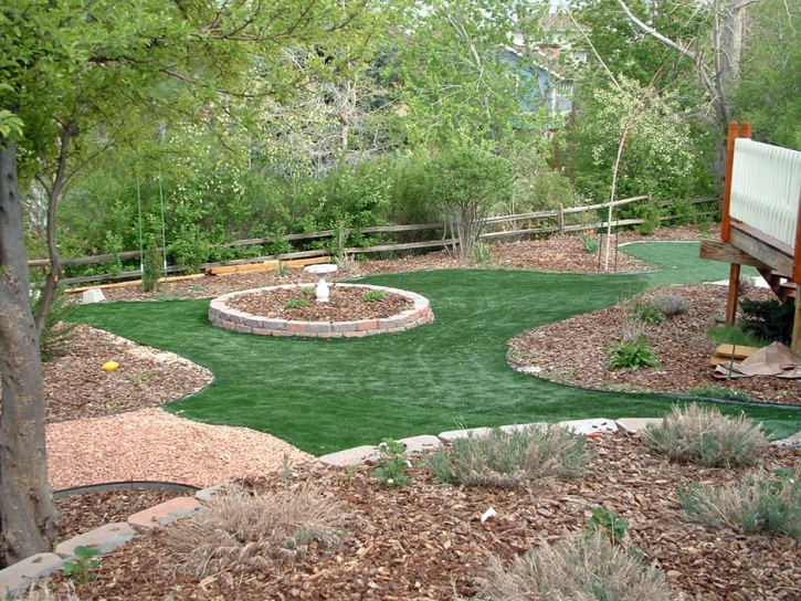 Plastic Grass Mono City, California Landscape Photos, Backyard Landscaping Ideas