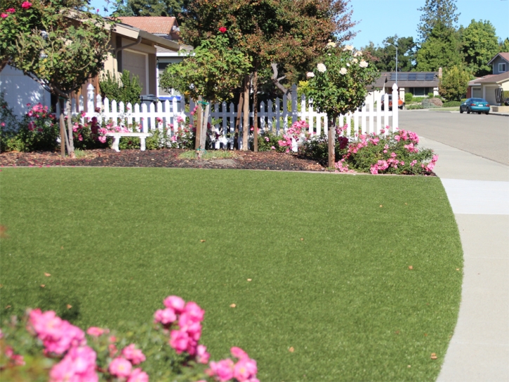 Plastic Grass Palo Alto, California Design Ideas, Front Yard