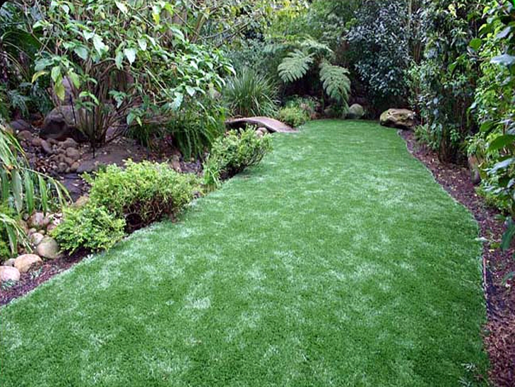 Plastic Grass Paradise Park, California Lawns, Backyard Ideas