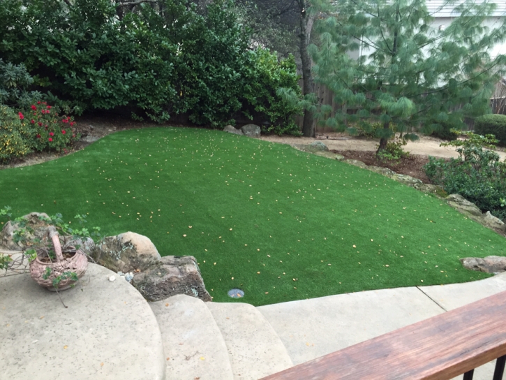 Plastic Grass Peters, California Landscape Ideas, Beautiful Backyards