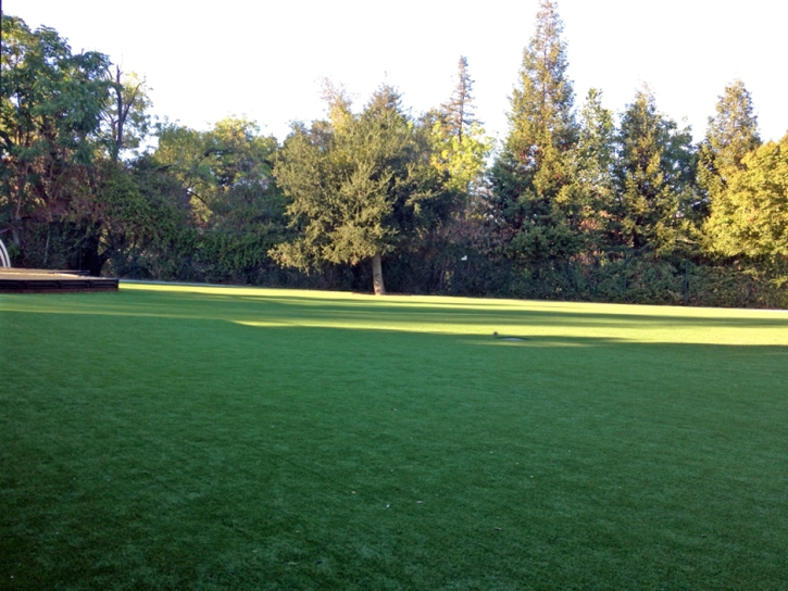 Plastic Grass Pine Flat, California Gardeners, Recreational Areas