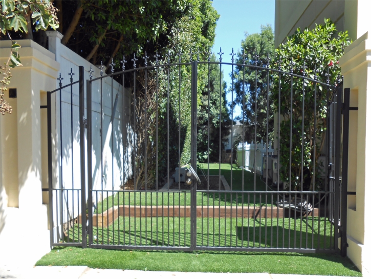 Plastic Grass Seacliff, California Landscape Photos, Front Yard Ideas