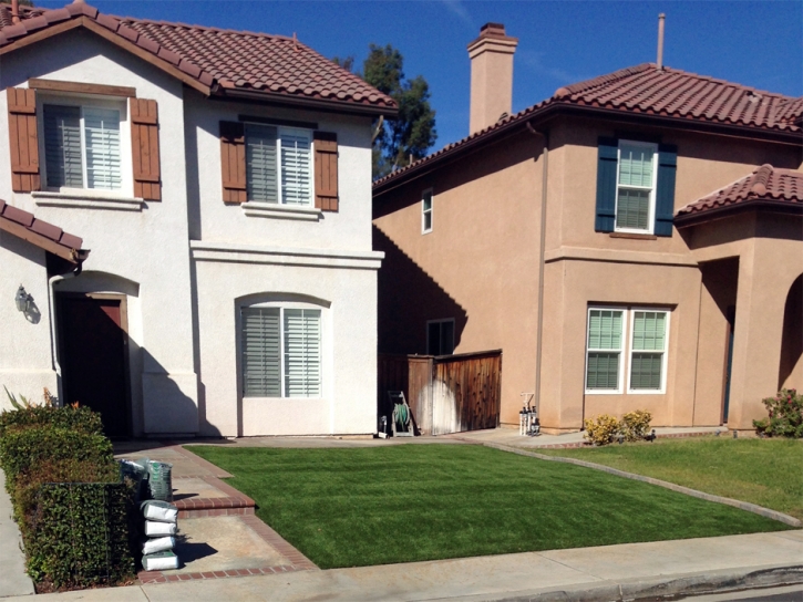 Plastic Grass Soulsbyville, California Landscape Ideas, Front Yard Landscaping Ideas