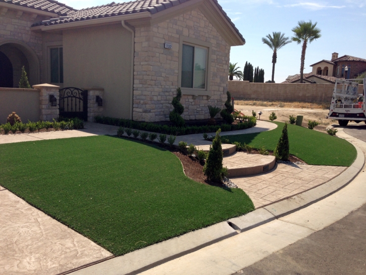 Plastic Grass Stevinson, California Roof Top, Front Yard Landscape Ideas