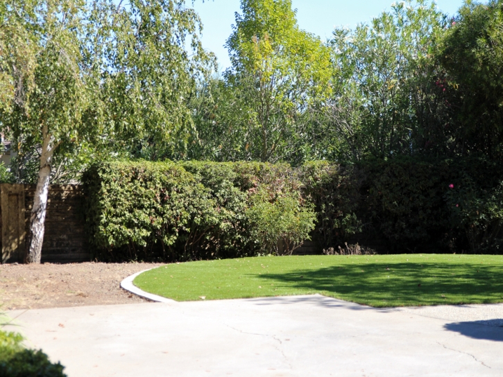 Plastic Grass Tehachapi, California City Landscape, Backyard Landscaping