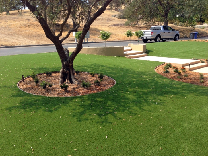 Synthetic Grass Arvin, California Landscape Design, Front Yard