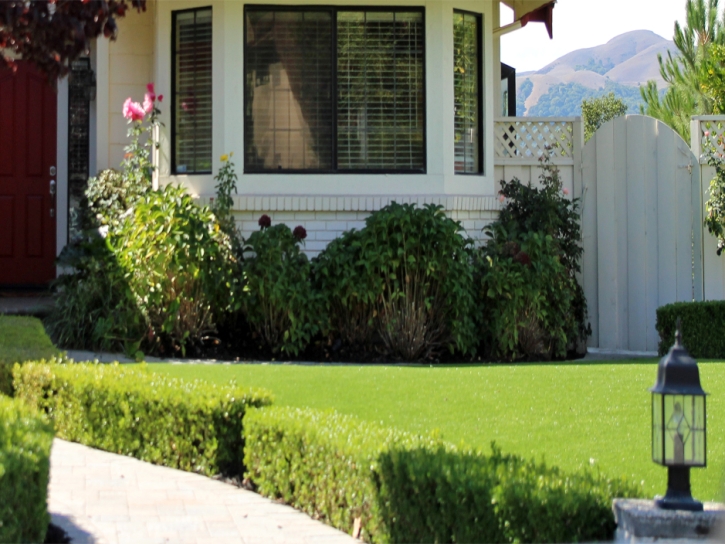 Synthetic Grass Camino, California Lawn And Garden, Front Yard Landscaping Ideas