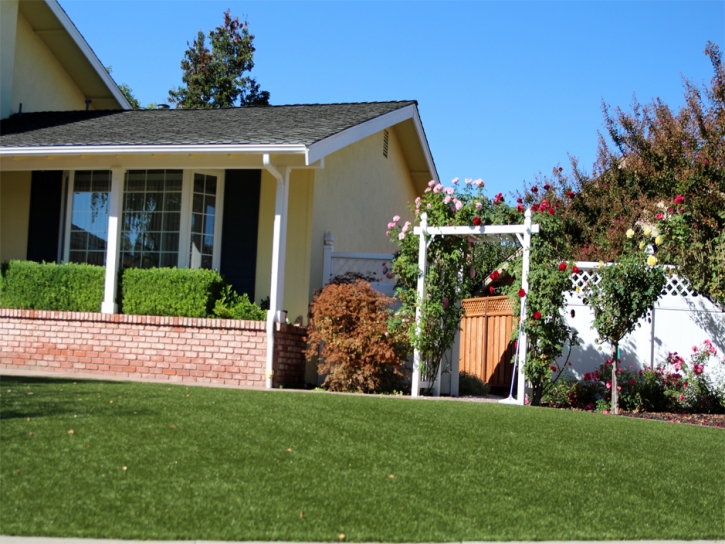 Synthetic Grass Cost Cupertino, California Home And Garden, Front Yard