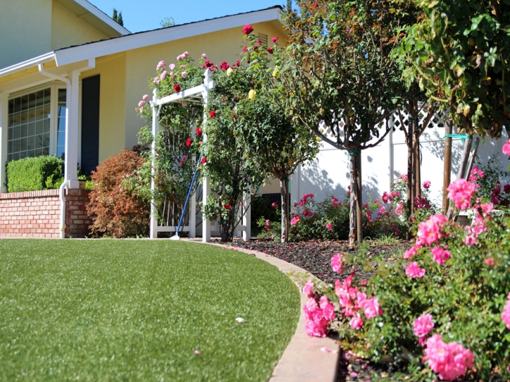 Synthetic Grass Cost Inyokern, California Gardeners, Small Front Yard Landscaping