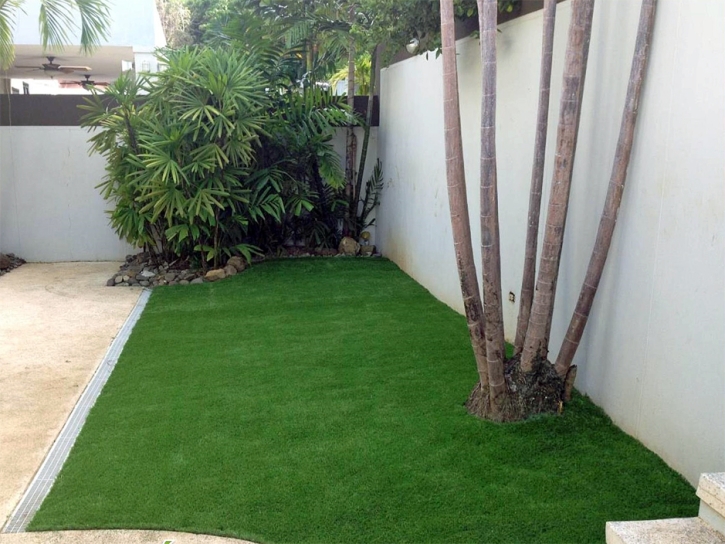 Synthetic Grass Cost Mountain View, California Landscaping Business, Backyard Landscaping