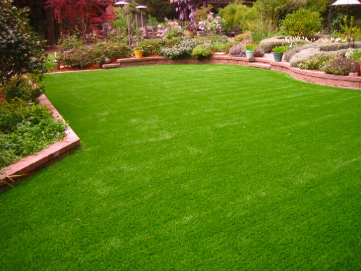 Synthetic Grass Cost Santa Clara, California Lawn And Landscape, Backyard Designs