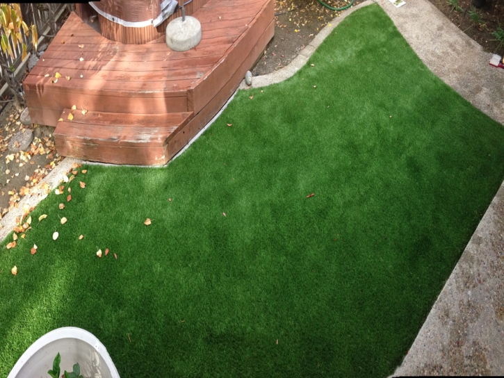 Synthetic Grass Cost Shandon, California Backyard Playground, Backyard Designs