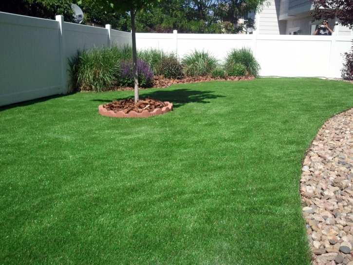 Synthetic Grass Cost Traver, California Roof Top, Beautiful Backyards