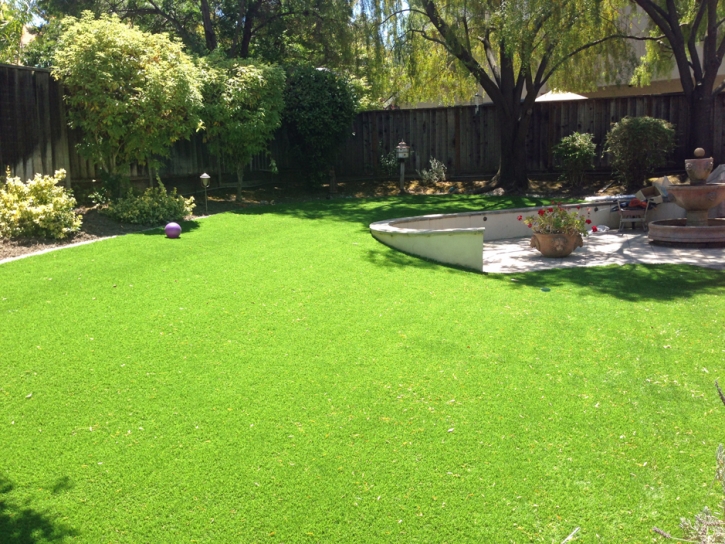 Synthetic Grass Cost Woodville, California Lawn And Landscape, Backyard Garden Ideas