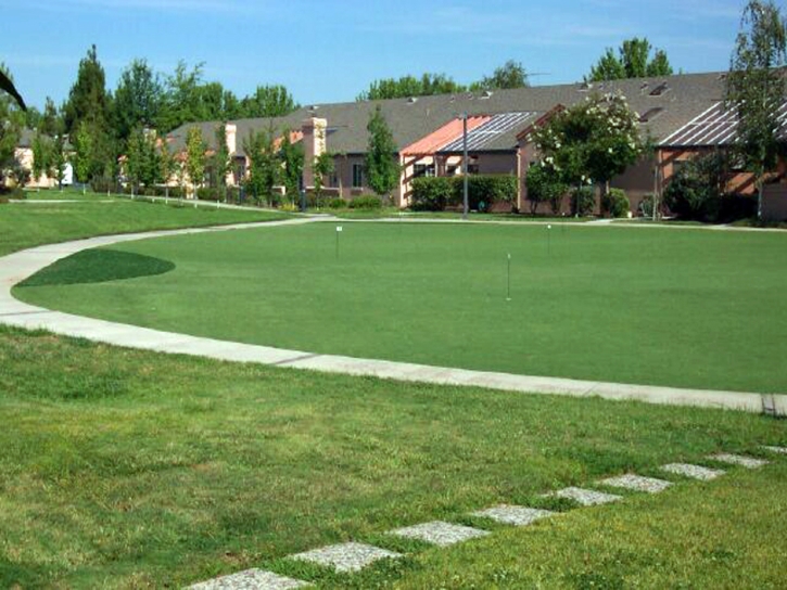 Synthetic Grass Cuyama, California Roof Top, Commercial Landscape