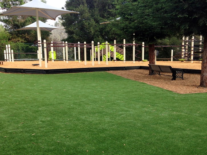 Synthetic Grass Dogtown, California Lacrosse Playground, Backyard Garden Ideas