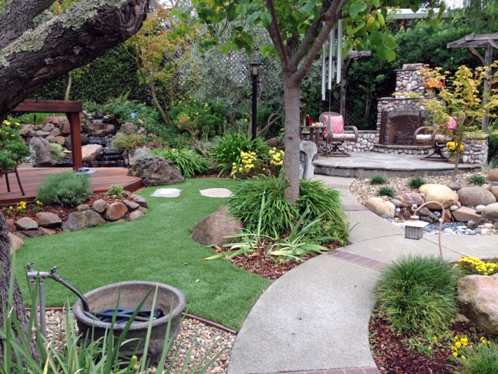 Synthetic Grass Exeter, California Garden Ideas, Backyards