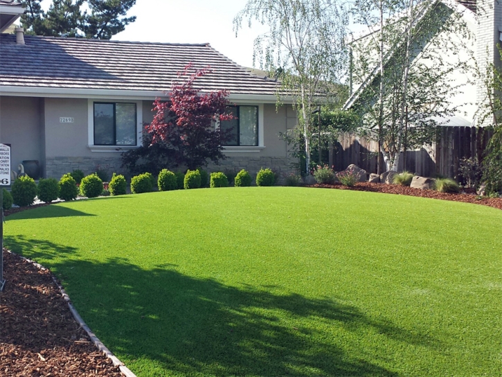 Synthetic Grass San Miguel, California Rooftop, Front Yard Landscape Ideas