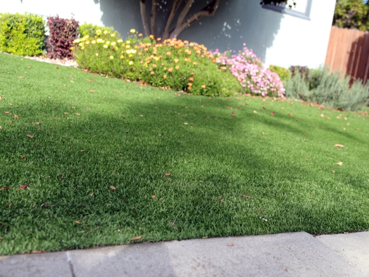 Synthetic Grass Volta, California Landscape Ideas, Small Front Yard Landscaping