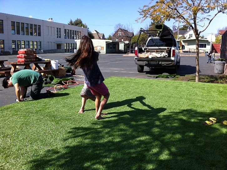 Synthetic Lawn Benton, California Lawns, Commercial Landscape