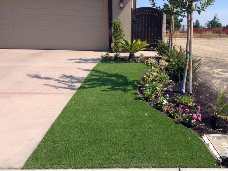 Synthetic Lawn Corralitos, California Backyard Deck Ideas, Front Yard Landscape Ideas