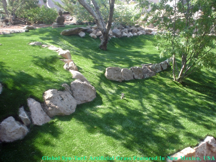 Synthetic Lawn Easton, California Roof Top, Pavers