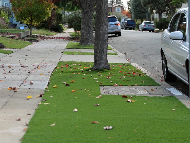 Synthetic Lawn Lost Hills, California Backyard Playground, Front Yard Landscaping