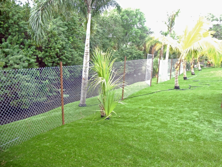 Synthetic Lawn Prunedale, California Gardeners, Backyard Landscaping Ideas