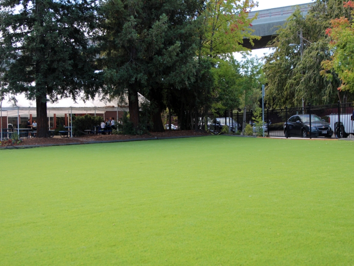 Synthetic Lawn Sisquoc, California Rooftop, Commercial Landscape