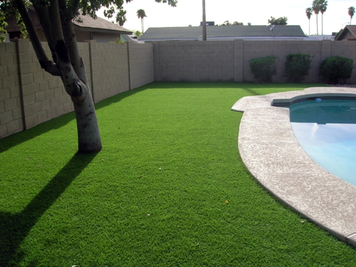 Synthetic Lawn Volcano, California Garden Ideas, Natural Swimming Pools