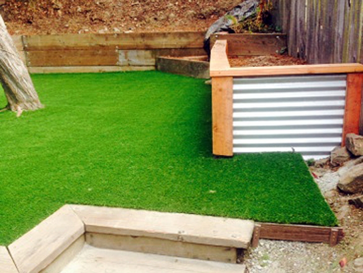 Synthetic Turf Buena Vista, California Backyard Playground, Backyard