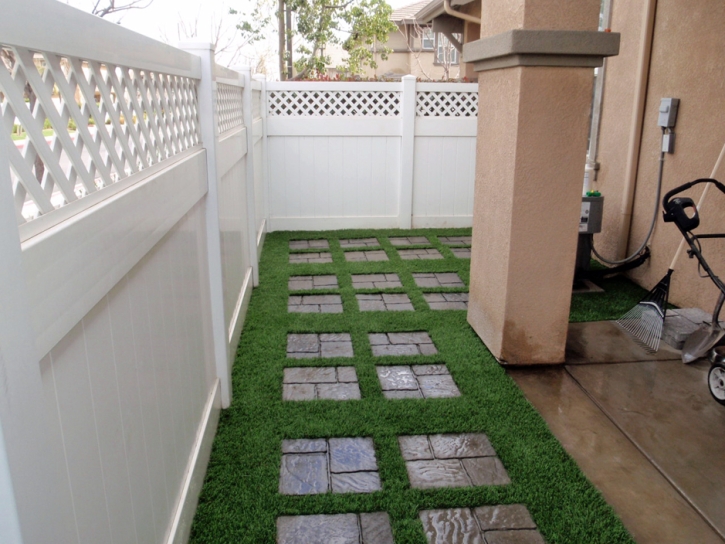 Synthetic Turf Cold Springs, California Landscape Ideas, Backyards