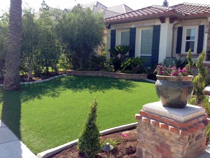 Synthetic Turf Delano, California Rooftop, Landscaping Ideas For Front Yard