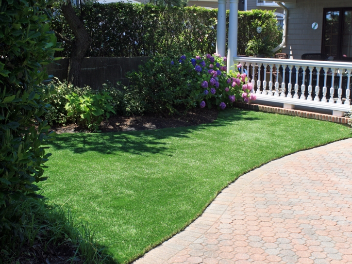 Synthetic Turf Fairmead, California Backyard Playground, Front Yard Design