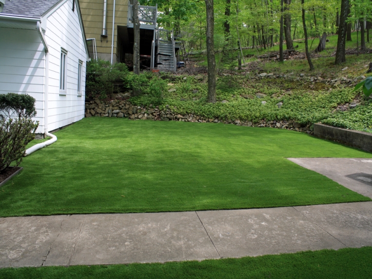 Synthetic Turf Lake Isabella, California Backyard Deck Ideas, Landscaping Ideas For Front Yard