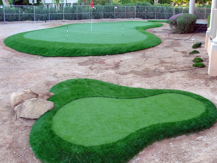 Synthetic Turf Onyx, California Gardeners, Front Yard