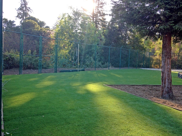 Synthetic Turf Smith Corner, California Gardeners, Parks