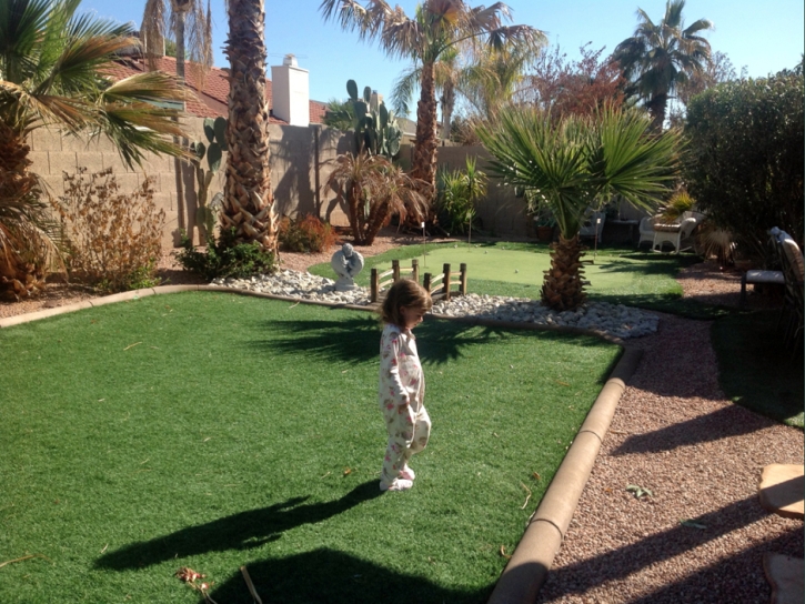 Synthetic Turf Supplier Arroyo Grande, California Landscape Photos, Backyard Landscape Ideas