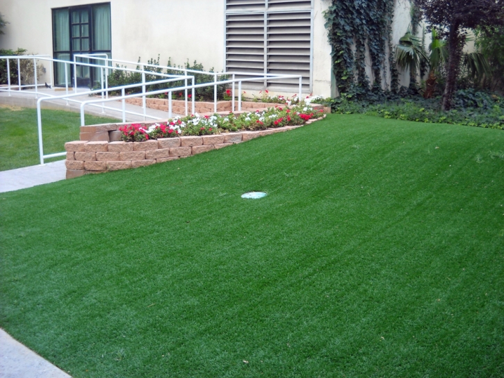 Synthetic Turf Supplier Atwater, California Diy Putting Green, Front Yard