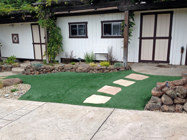 Synthetic Turf Supplier Castro Valley, California Garden Ideas, Front Yard Ideas