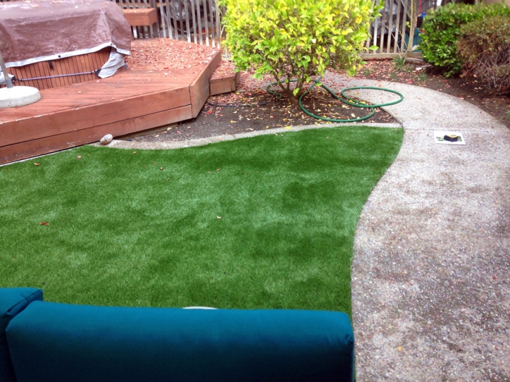 Synthetic Turf Supplier Greeley Hill, California Lawn And Garden, Backyard Ideas