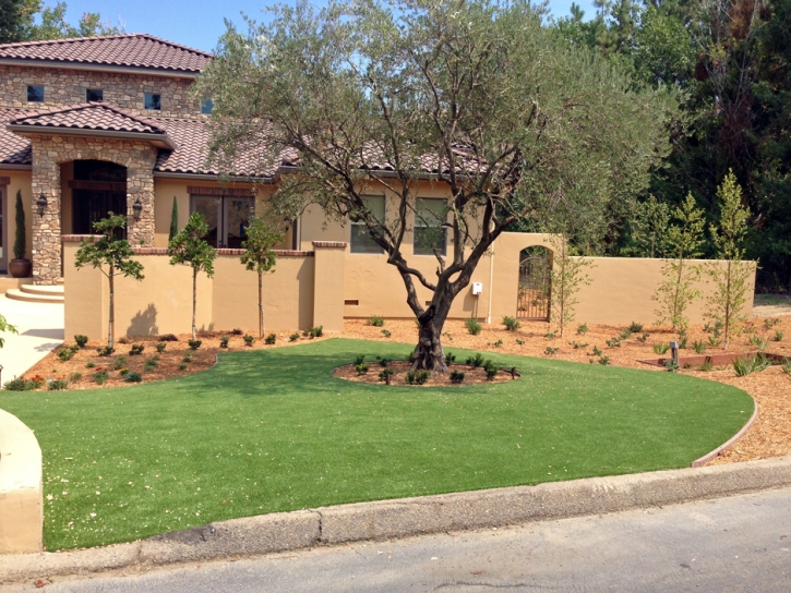 Synthetic Turf Supplier Keyes, California Lawns, Front Yard Design