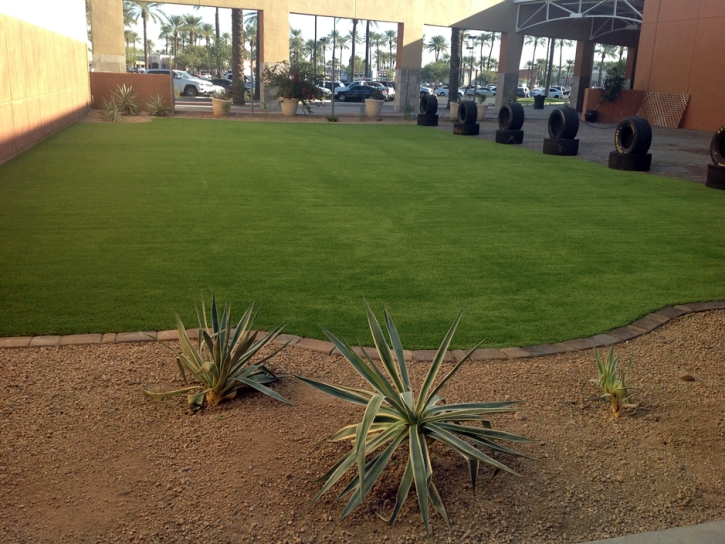 Synthetic Turf Supplier Loyola, California Landscape Photos, Commercial Landscape