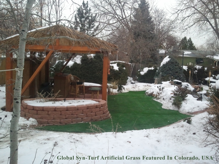 Synthetic Turf Supplier Parlier, California City Landscape, Backyard Landscaping