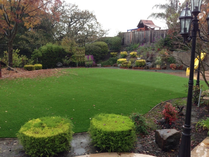 Synthetic Turf Supplier Selma, California Home And Garden, Backyard Landscaping